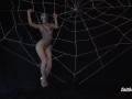 Spider's Sexual Web Temptation