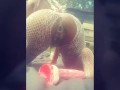 Public Poni