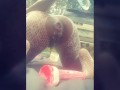 Public Poni