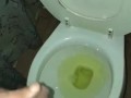 Adventure of Ghost Dick
