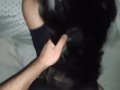 Spooky halloween video