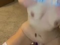 Bunny tail