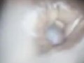 BIG BLACK DICK CUMMING