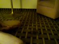 hot wetting on the floor