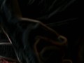 Teaser Preview Mr Not Average