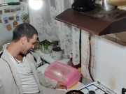 Well roasted peanuts, I love it.