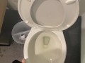 Naughty Piss Slut with a very Full Bladder Power Pisses all over the toilet while standing up!