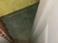 Naughty Slut is too lazy to use the bathroom and opens up the door and pisses outside!