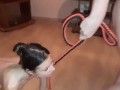 A slave on a leash satisfies her mistress. Lesbian bdsm - lesbian_illusion