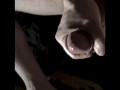 Re-edit slow motion male solo
