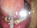 Glass tongue licking and kissing (Short version)