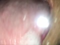 Glass tongue licking and kissing (Short version)