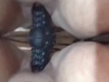 Octopussy