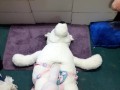 stuffy stomping and crotch rub tease 