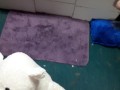 stuffy stomping and crotch rub tease 