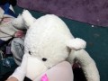 stuffy stomping and crotch rub tease 