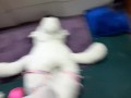 stuffy stomping and crotch rub tease 
