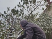 It seems that this parsley is not afraid of snow or frost.