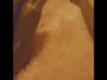 Foot Fetish 