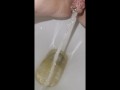 Week 48 Pee diary
