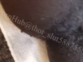 Squirting out of Anus