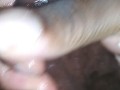 Milking it