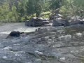 Nude River Saga - Stripping, Pissing, Flashing Kayakers, Fucking