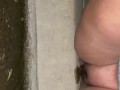 BBW pees on curb