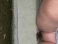 BBW pees on curb