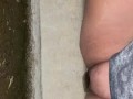 BBW pees on curb