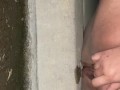 BBW pees on curb