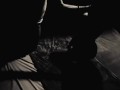 (O) projet - Ezie Ft. Thoringar - Bienvenue.