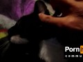 Pussy Loves Graffiti and Throats the Pen (Music by: John Bravoe)