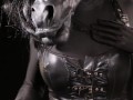 Hermaphrodite Horse Playing with its Massive Body
