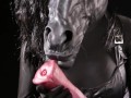 Hermaphrodite Horse Playing with its Massive Body