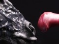 Hermaphrodite Horse Playing with its Massive Body