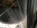 Shakily Pissing in the Garbage