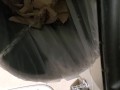 Shakily Pissing in the Garbage