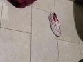 Shakily Pissing in the Garbage