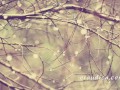 The Storm - an erotic audio short story performed by Eve's Garden