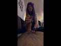 puppy girl sucks my cock til I cum and keeps stroking