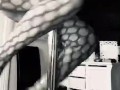 BambiAmbitas teaser... little poledance
