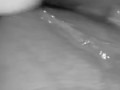 WAP!! MESSY SQUIRT!! solo!! Magic wand!! 