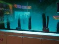 Cyberpunk. Sex Shop is a special product on the shelves | Porno Game 3d