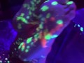 fetish girl shakes, moans and takes pleasure during bdsm practice - wax, wax play, waxplay, bdsm,