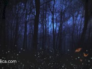 Loving hyp for Insomnia - Positive SFW audio by Eve's Garden - relax and drift off