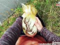 Deutsche Tattoo Blondine mit intim piercing beim outdoor pov sexdate