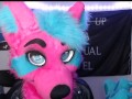 Furries After Dark: The Topic We Never Speak Of