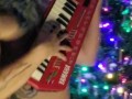 HAPPY HOWLIDAYS