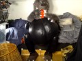 Nussija ist ein notgeiler Fickwolf und will endlich eine echte Muschi mit seinem Megaschwanz besamen